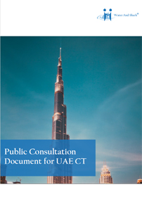 UAE-CT-Insight-pdf.jpg